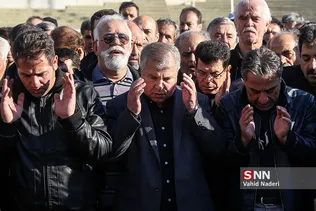 دانایی فرد 