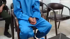 پرونده متجاوز کفتار صفت تهران به اتهام افساد فی‌الارض به دادگاه انقلاب رفته است