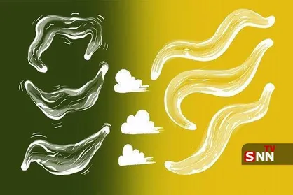 کرم&zwnj;ها بوی مرگ را حس می&zwnj;کنند و واکنش نشان می&zwnj;دهند!