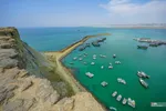 بریس