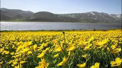 تشدید حفاظت و جریمه کیفری برای هرگونه صید ماهی در تالاب نئور
