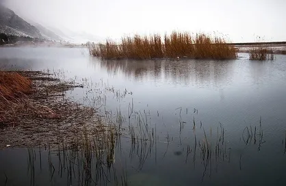 ثبت جهانی تالاب جازموریان/ لزوم جذب اعتبارات بین&zwnj;المللی