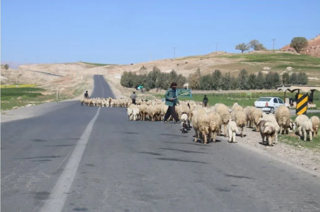 سمنان پای کار عشایر میهمان؛ از آبرسانی تا نگهداری راه‌های عشایری