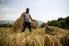 کشاورزان روستای 