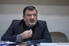 روح‌الامینی: تخصیص ارز مسافرتی قابل توجیه نیست