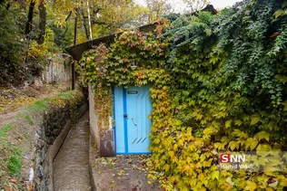 new