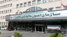 تولیدکنندگان ملزم به درج برچسب معافیت مالیات ارزش‌افزوده شدند