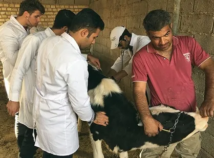 گروه جهادی دامپزشکی دانشگاه آزاد ارومیه به روستای چالدوران اعزام می&zwnj;شود