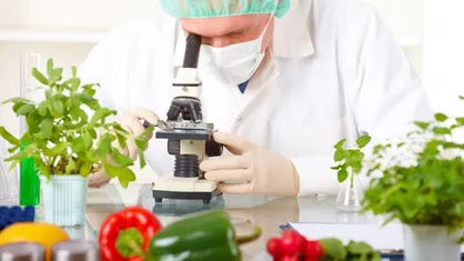 راه&zwnj;های صادرات پایدار محصولات زیستی شناسایی می&zwnj;شود
