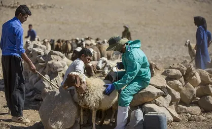 خدمت&zwnj;رسانی جهادگران قزوینی در مناطق کوهستانی و صعب العبور