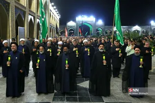 دبب