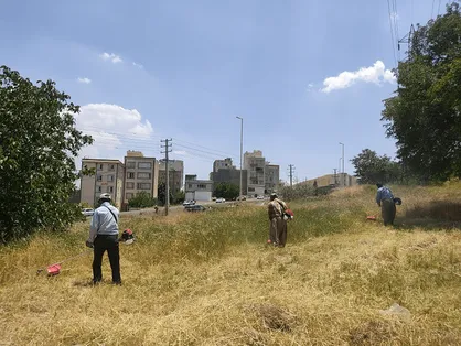 آغاز علف&zwnj;تراشی ۱۸۰ هکتار از پارک&zwnj;های جنگلی سنندج برای پیشگیری از آتش&zwnj;سوزی