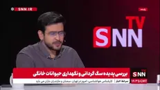 نادری: در پشت پرده پت شاپ ها مافیای اقتصادی وجود دارد