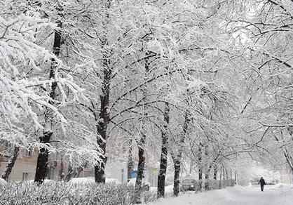 پیش&zwnj;بینی برف و یخبندان در استان همدان