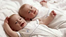 ۴۱۴۵ خانوار دارای فرزند دوقلو و سه‌قلو در همدان مستمری دریافت می‌کنند