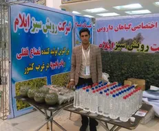 کارآفرین برتر ایلام سطح زیر کشت محصولات گیاهان دارویی را از نیم به ۲۰ هکتار رساند/ دانشگاه بیشتر از جهاد کشاورزی کمک کرد