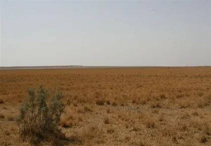 خشکی تالاب بندعلی&zwnj;خان ۳۰ میلیارد تومان به عشایر خسارت زد