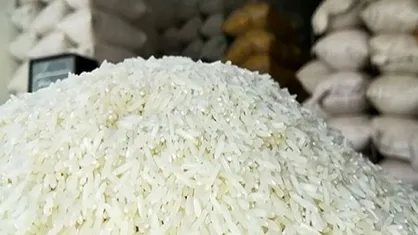 برنج پاکستانی با قیمت ۶۶ هزار و ۳۰۰ تومان در بازار توزیع می&zwnj;شود