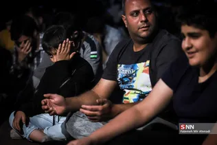 دبب
