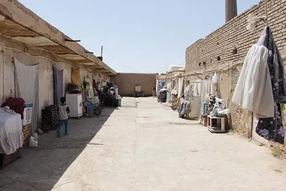 دمیدن روح زندگی به کوره نشین&zwnj;ها