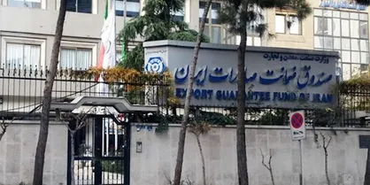 بودجه صندوق ضمانت صادرات باید به صورت ارزی باشد/ ضرورت تغییر ریاست صندوق