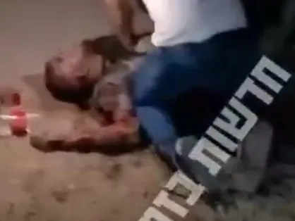 سگ&zwnj;کشی در سرزمین&zwnj;های اشغالی
