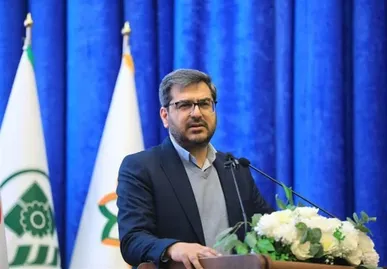 باز تعریف و بهسازی مسیر‌های دسترسی به کوچه‌های تاریخی و مجموعه باغ ایلخانی در شیراز