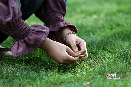 چگونه در سیزده بدر از محیط زیست محافظت کنیم؟