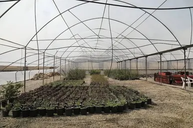 زمین برای احداث شهرک‌های گلخانه‌ای در سقز به سرمایه گذار واگذار می‌شود