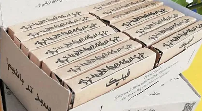 تولید نخستین کارت&zwnj;های هوشمند تغذیه گل و گیاه آپارتمانی
