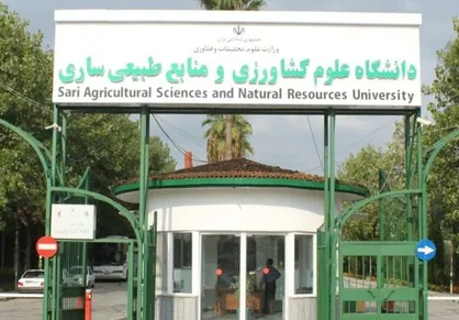 زوایای جدیدی از مکانیسم&zwnj;های پاسخ گیاهان به تنش شوری شناسایی شد