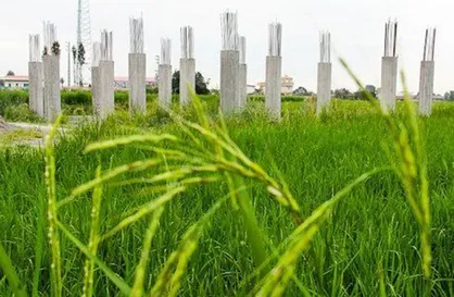 شناسایی ۳۶ هکتار تغییر کاربری غیرمجاز زمین&zwnj;های کشاورزی و باغی در گیلان