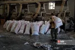 پنبه