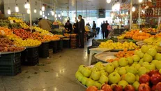 دعوت از تولیدکنندگان محصولات کشاورزی برای حضور در میادین میوه و تره بار