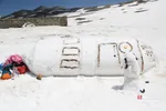دبب