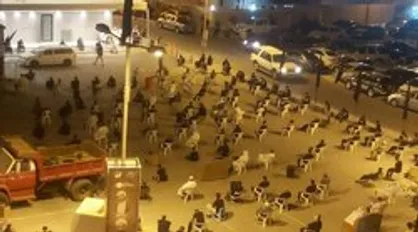 حضور باشکوه بحرینی&zwnj;ها در مراسم عزاداری محرم