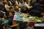 بیبب