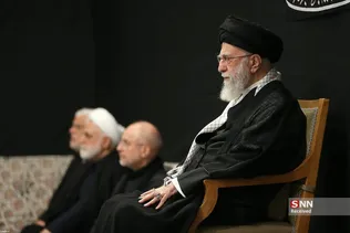 دبب