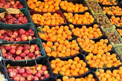 نیکبخت: ۱۵ هزار تن میوه شب عید آماده توزیع شد
