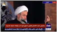 بهترین راه ترویج حجاب از منظر حجت الاسلام پناهیان؛ «حساسیت به هالیوود در فرانسه از ایران بیشتر است»