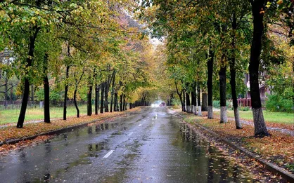 بارش باران در مناطق مختلف گیلان