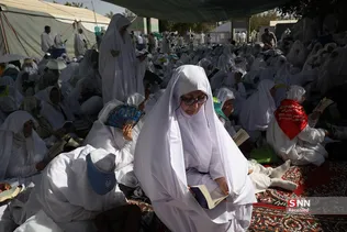 دبب