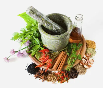 &laquo;طب ایرانی&raquo; جایگزین واژه طب سنتی شد
