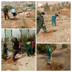 توسعه و بازپیرایی ۲۰ هزار مترمربعی فضای سبز منطقه۱۳