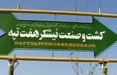 تذکر نماینده تهران درباره ادامه کشمکش‌های کارخانه نیشکر هفت تپه