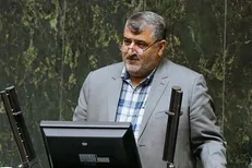 پاسخ شاعرانه نماینده دولت به کنایه بابایی کارنامی نماینده مجلس + فیلم