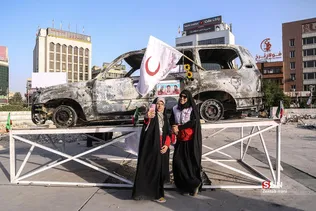 دبب