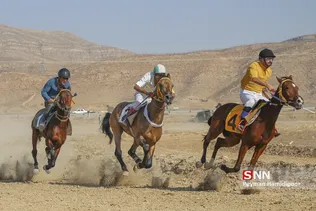 اسب