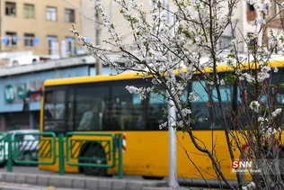 چند قدم مانده تا بهار