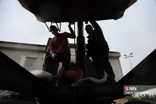 جدید